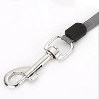 Dual Doggie - Retractable Leash