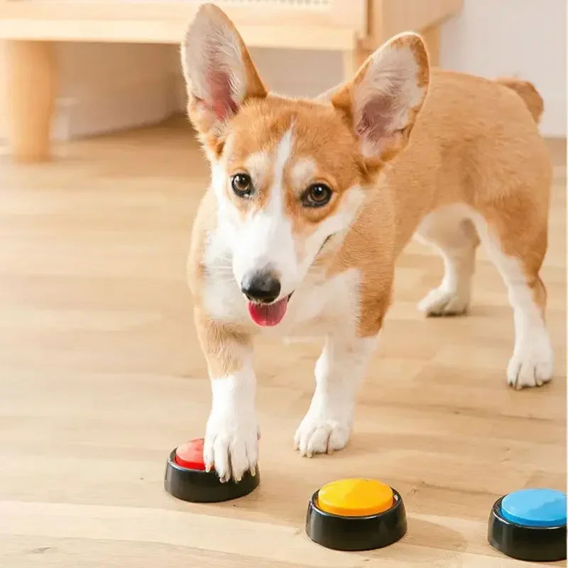 TalkPaws – Customizable Voice